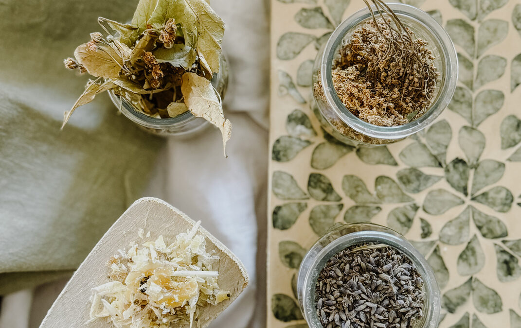 Les plantes normandes aux mille vertus : colza, chanvre, cameline & co